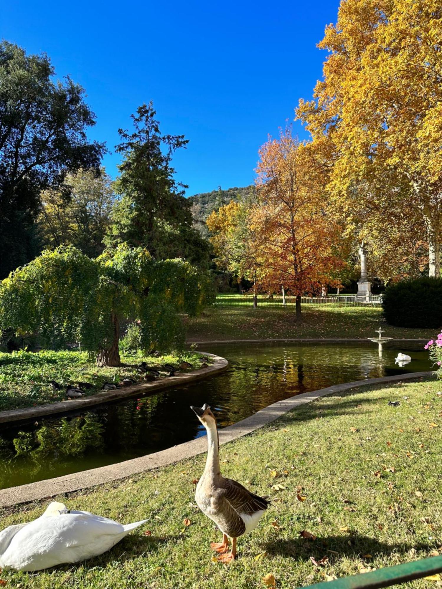 Апартаменти Le Perchoir Du Parc Coeur Historique Андюз Екстер'єр фото